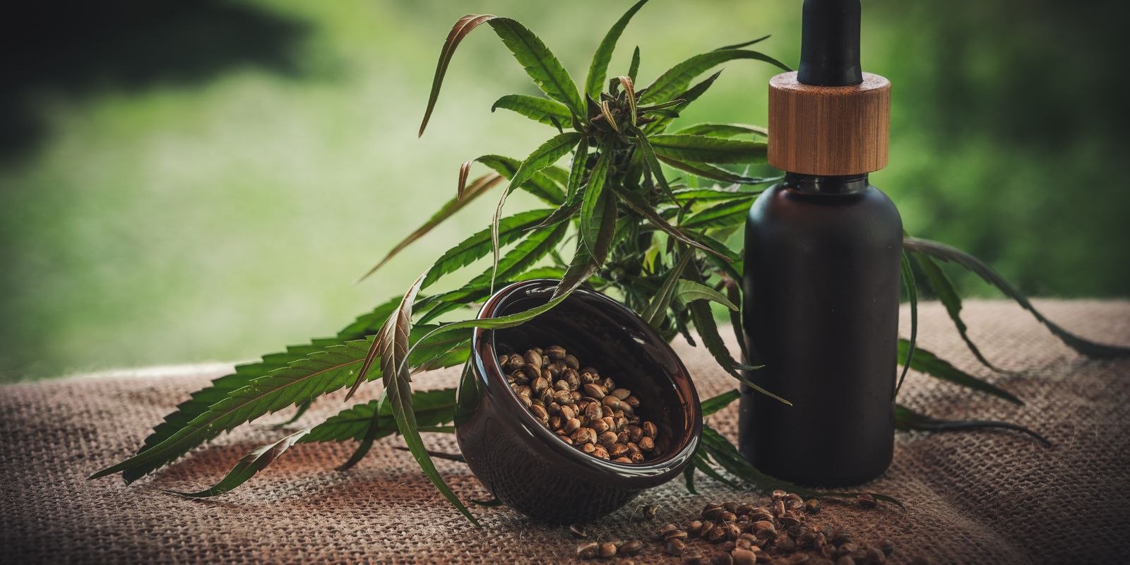 Segunda Edição Da Expocannabis Começa Hoje Em São Paulo
