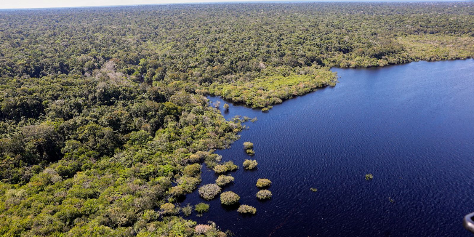COP30: quarto leilão do Eco Invest terá foco exclusivo na