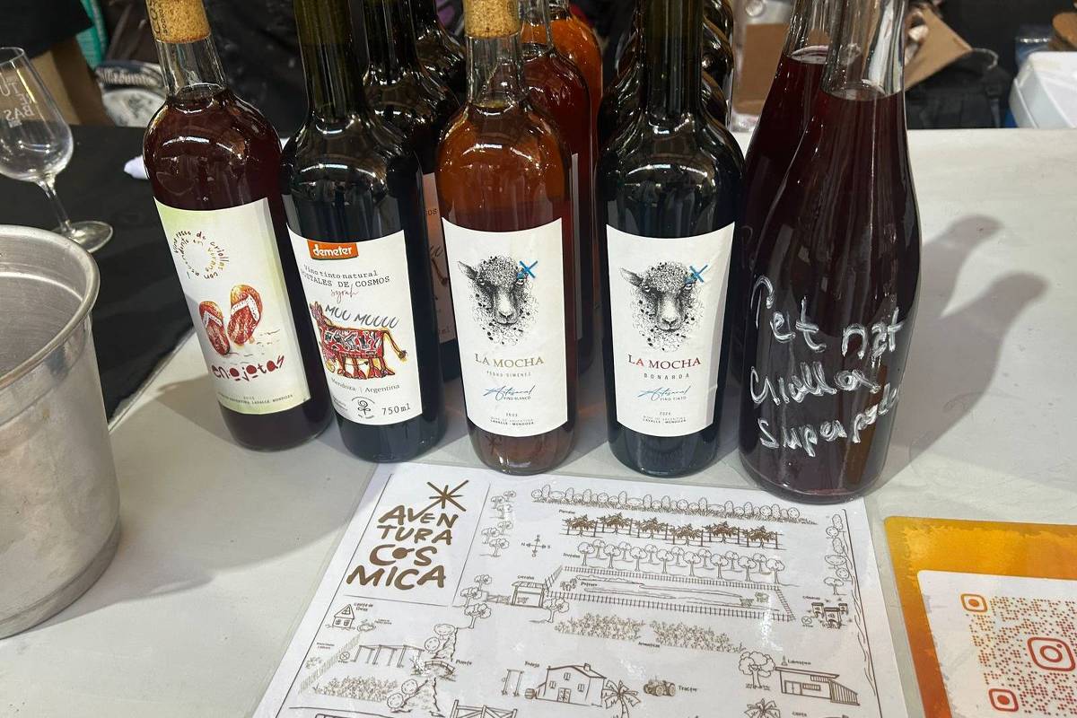 Feira Naturebas destaca biodiversidade em vinhos naturais 27/06/2026