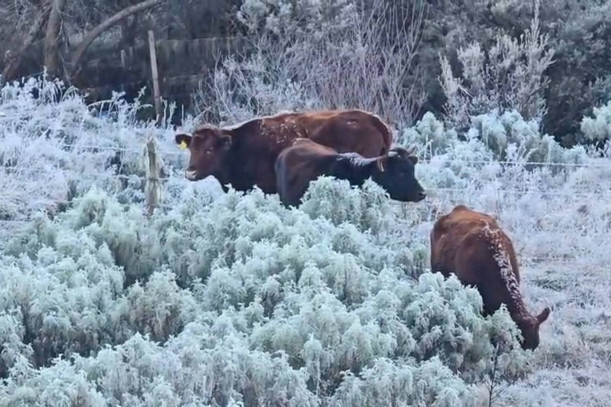 Frio em trilhas: saiba como evitar a hipotermia 24/06/2026