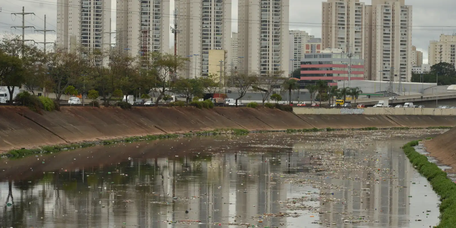Rio Tietê não tem trecho livre de contaminação, diz SOS