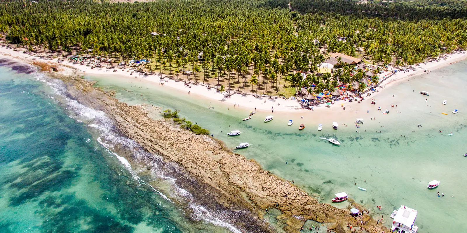 Barulho de barco e de turistas afeta comunicação de peixes,