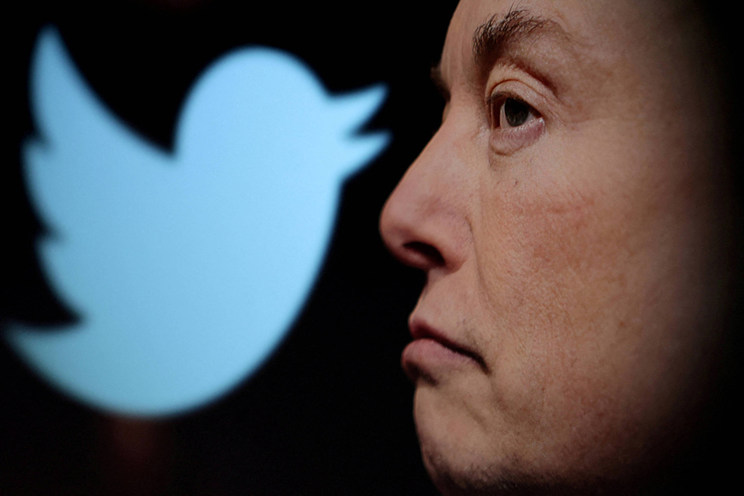 Twitter, agora X, completa 20 anos; relembre a trajetória