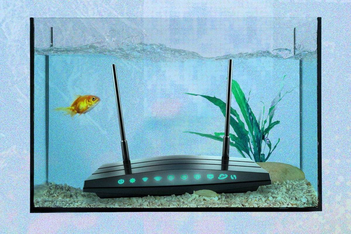 Wi fi: veja objetos que prejudicam sua conexão em casa