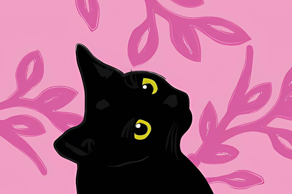 A sorte de encontrar um gato preto 20/08/2026