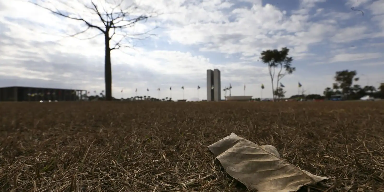 Região Sul tem risco de temporal e granizo; outras regiões