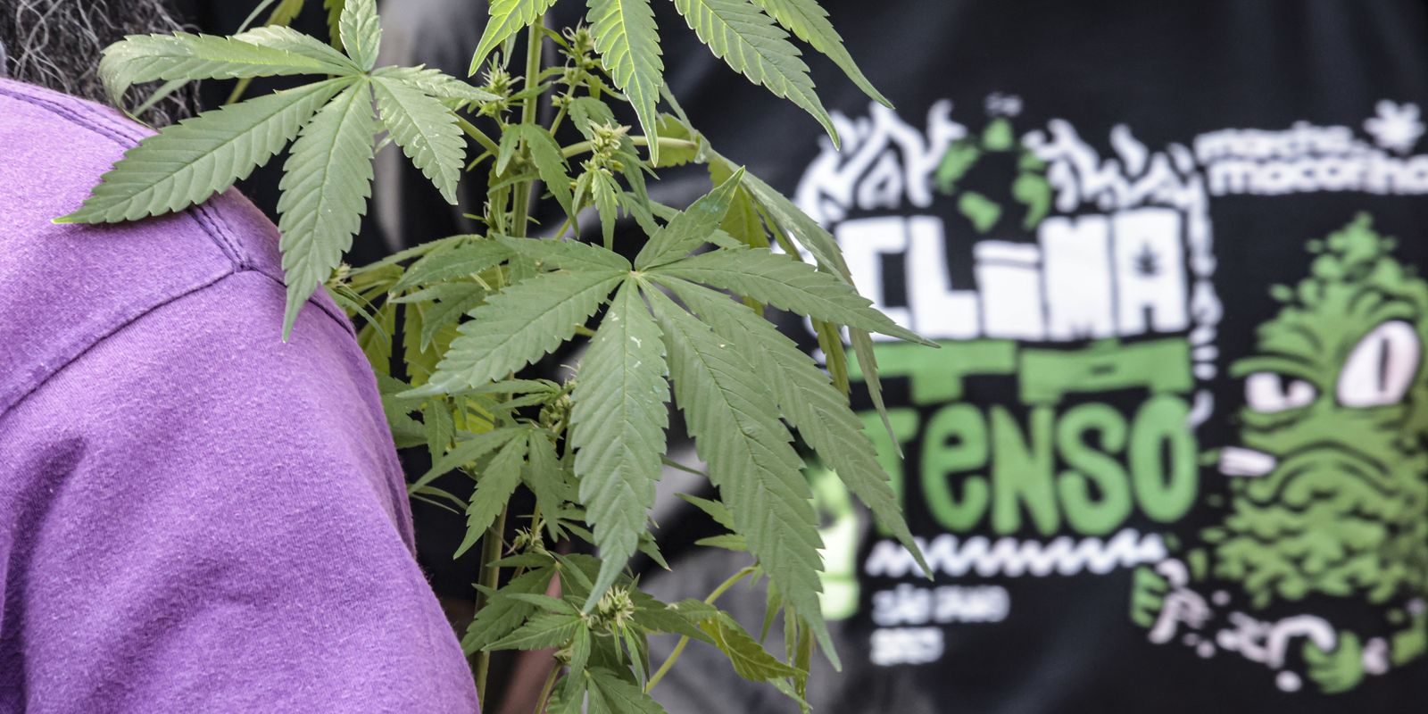 Flagrante por drogas gera mais prisão preventiva do que outros