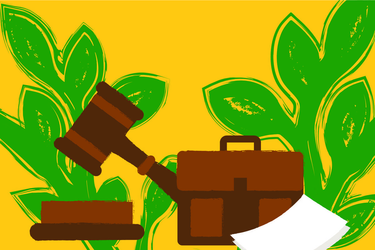 O voto que depende de carona, gerente e sorte